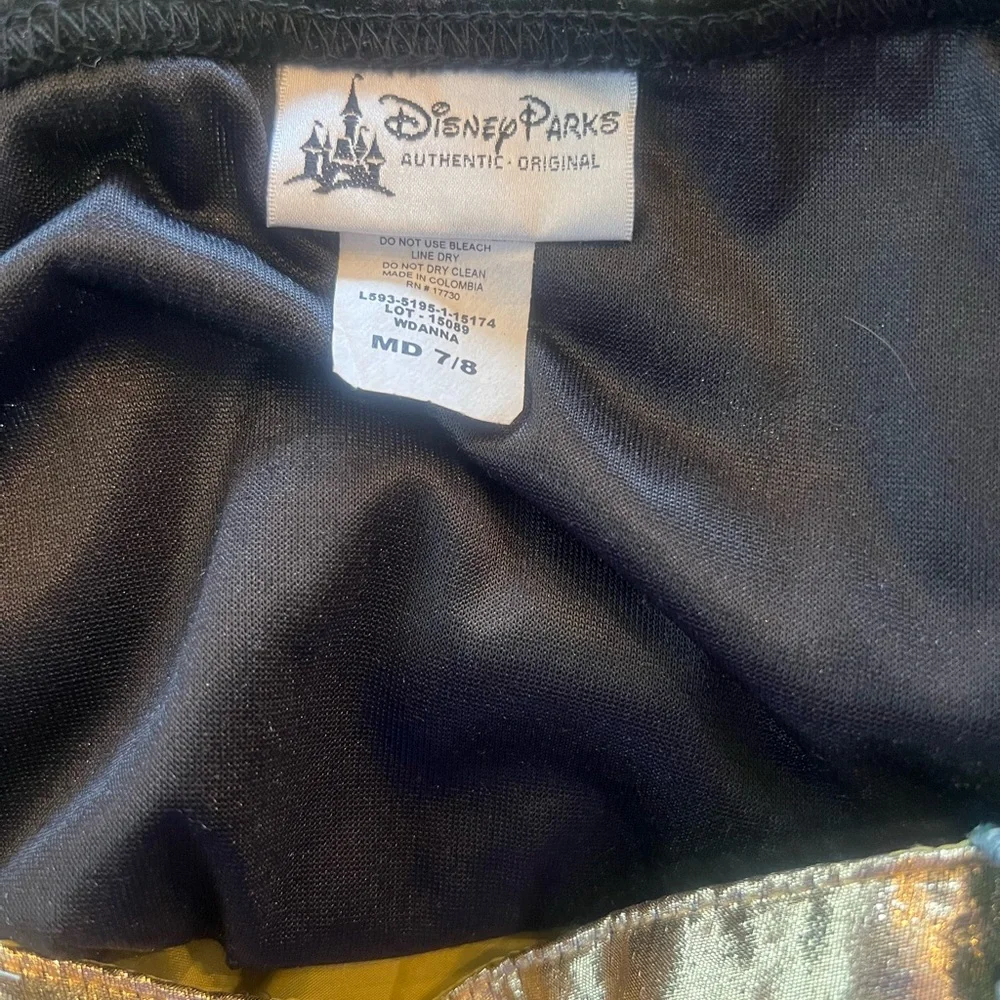Disney Parks Ana Frozen dress.  Costume.‎  Halloween